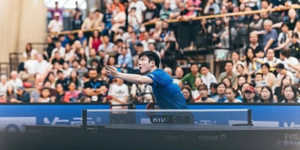 周六见！樊振东迎来德甲客场首秀，首战输球后球队暂排第8盼回升