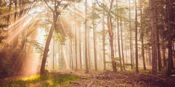朱婷在意甲联赛单场斩获三十八分