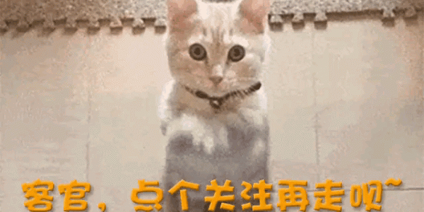 加盟德甲仅4月，28岁樊振东回归全运会，让人欣慰的一幕出现了