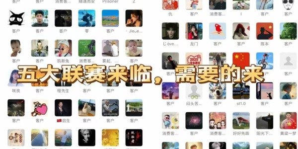 里斯本竞技本赛季保持了相当稳定的状态