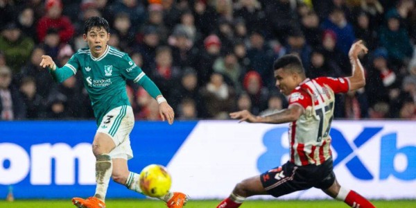 因你们而流的泪