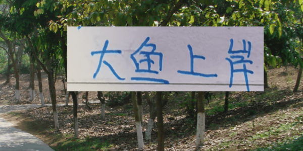 去年中超前5大鱼都上岸 北京国安是德甲大货 海港是本土标王