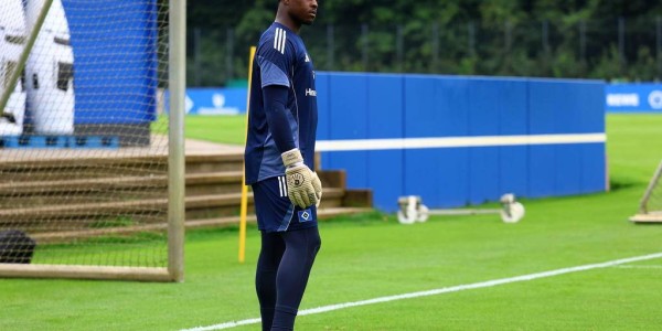 法甲名将奥马里加盟汉堡：能否成为防线新支柱？