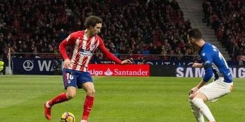 马德里竞技本场坐镇“魔鬼主场”，迎来本赛季欧冠小组赛第 5 轮