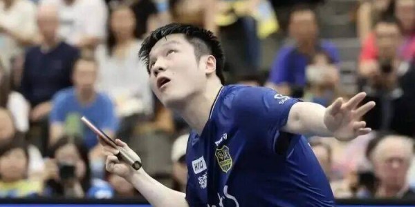 樊振东征战德甲引发关注！刘国梁给出评价，七个字展现格局与支持